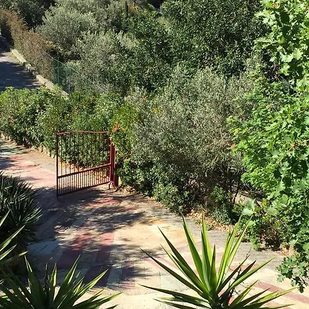 Apartment Melograno House Alassio