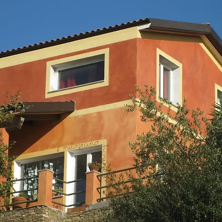 Apartment Melograno House